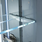 Pollux LED Medicine Cabinet MCL10