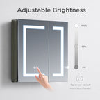 Rigel LED Medicine Cabinet MCL5