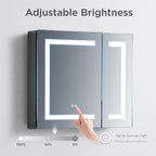 Rigel LED Medicine Cabinet MCL5