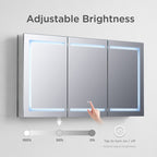 Canopus LED Medicine Cabinet MCL6