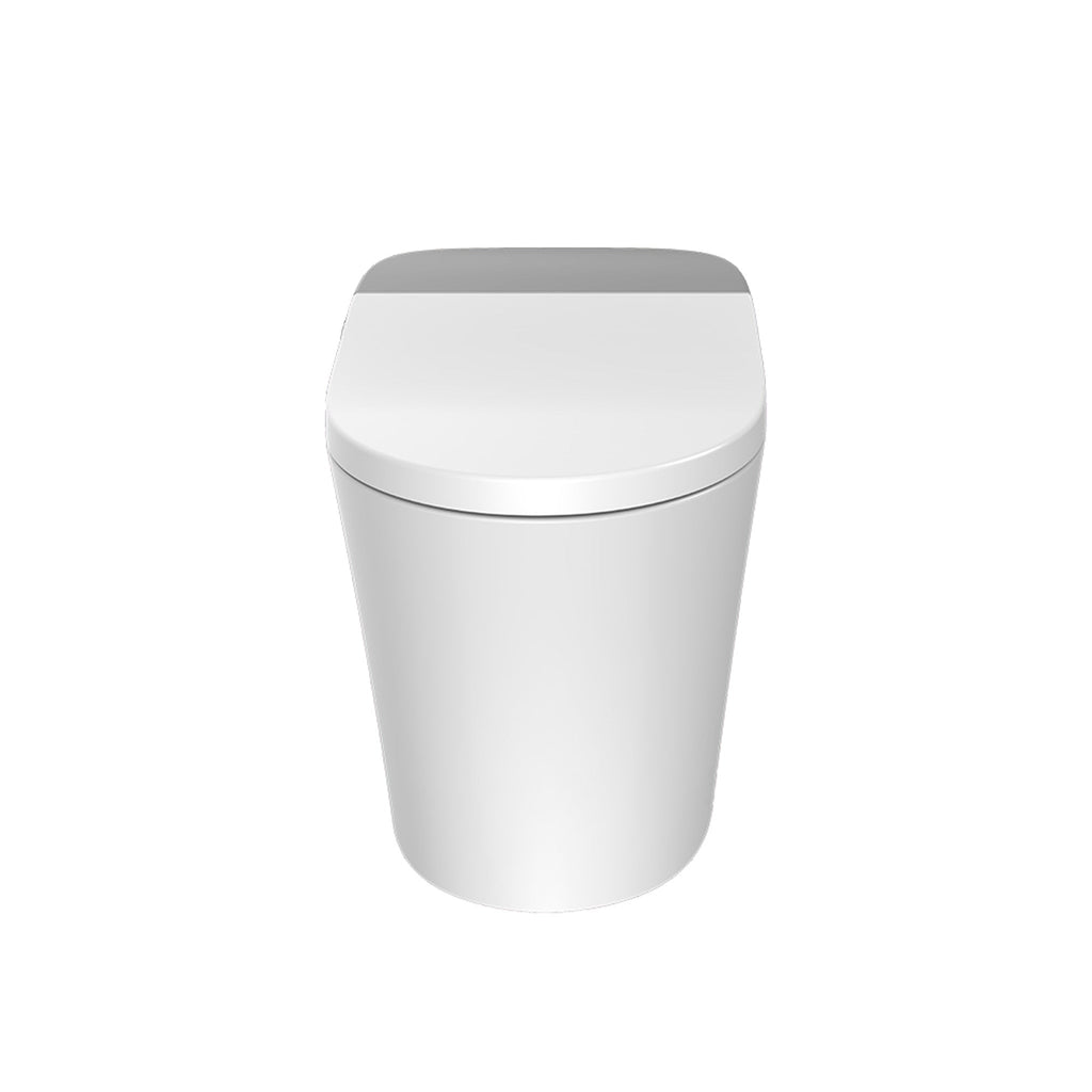 Smart Toilet ST09 01