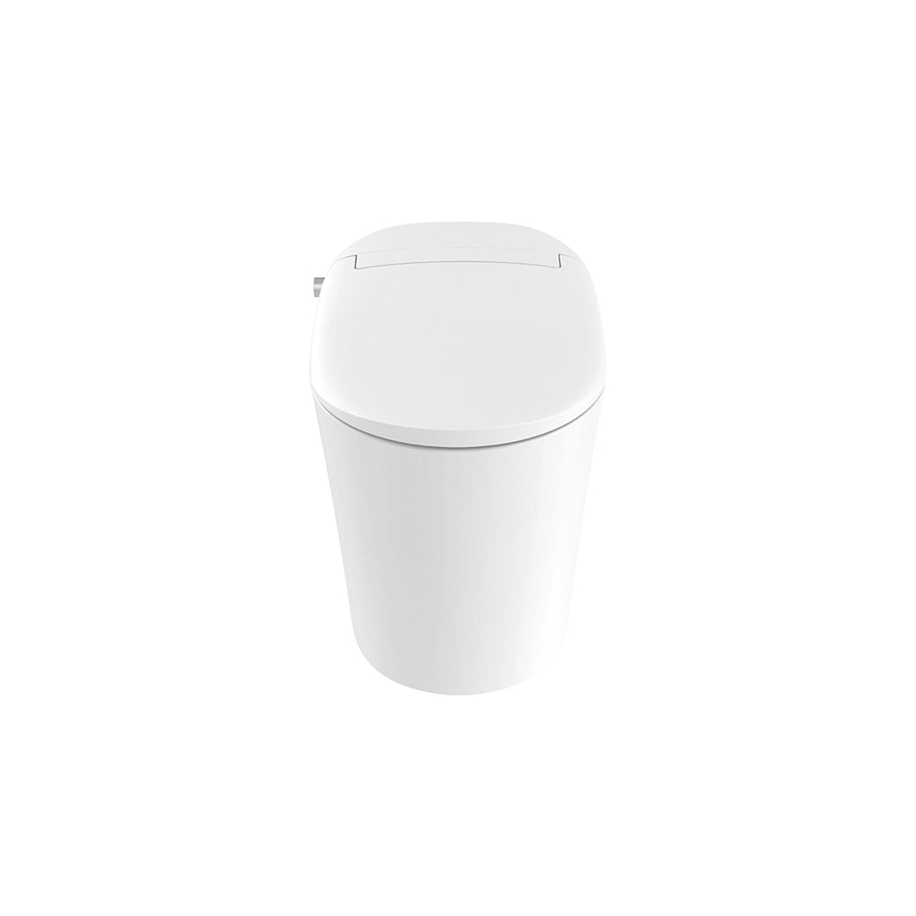 Smart Toilet ST09 03